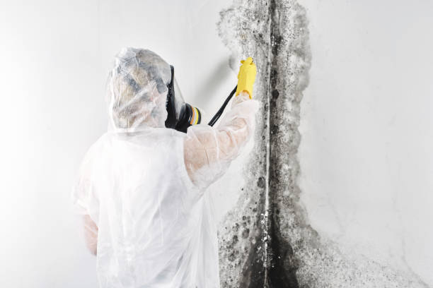 Best Sewage cleanup and water damage restoration  in , CO