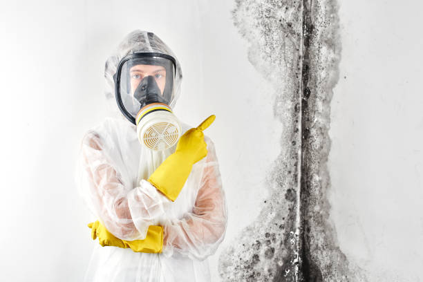 Best Commercial water damage restoration  in , CO